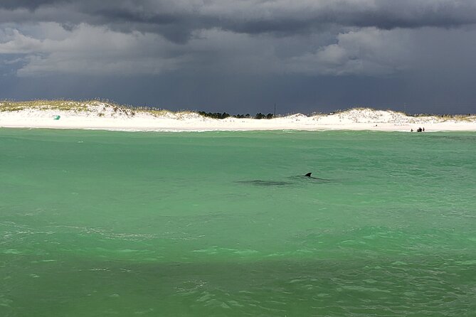 Hydro Rocket Dolphin Sightseeing Boat Tour from Destin - Key highlights to know before you go
