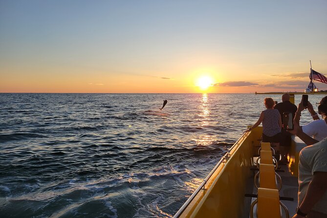 Hydro Rocket Dolphin Sightseeing Boat Tour from Destin - What to bring so you’re comfortable on a fast, windy water ride