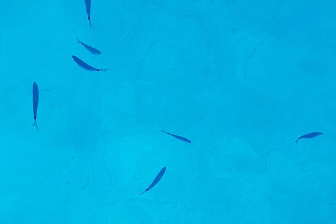Ibiza Boat Trip to Formentera | Full-Day Experience - Stop 2: S’Espalmador for Clear-Water Swimming and SUP Time