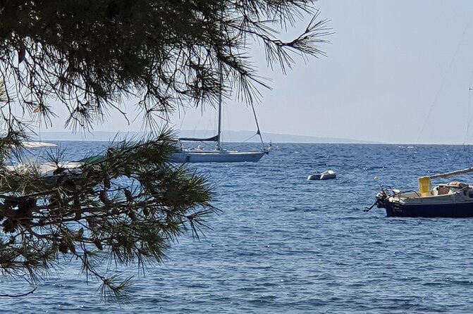 Ibiza Boat Trip to Formentera | Full-Day Experience - Who This Tour Fits Best (And Who Might Want a Different Plan)