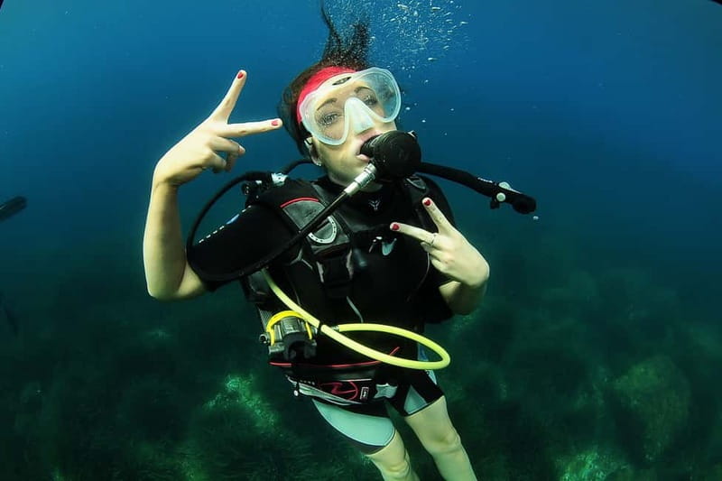 Ibiza: PADI Discover Scuba Diving & Snorkeling Boat Trip - Boat trip setup: gear, wetsuit fit, and what happens on board