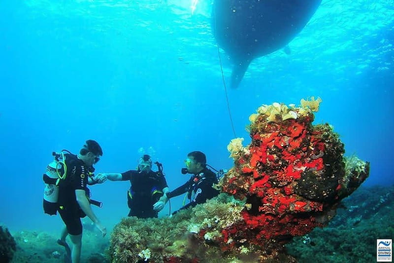 Ibiza: PADI Discover Scuba Diving & Snorkeling Boat Trip - The short online theory and the 15-minute onboard refresher