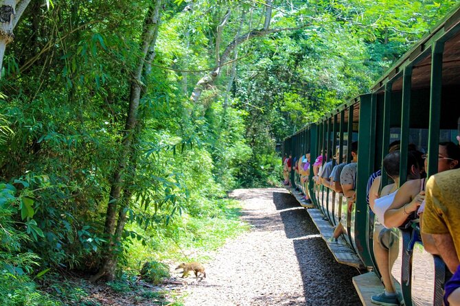 Iguazu Falls: Argentinian Side with Boat Ride, Jungle-truck and Train - Price and value: what’s included in the $149