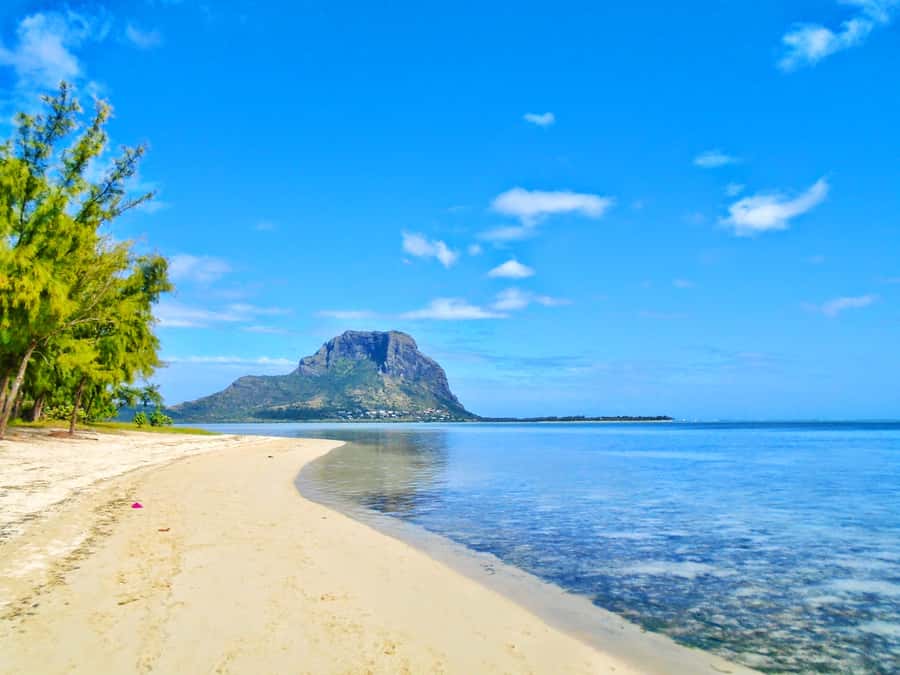 Île aux Bénitiers: Snorkeling w/Dolphins Boat Tour & Lunch - Logistics you should know before you go