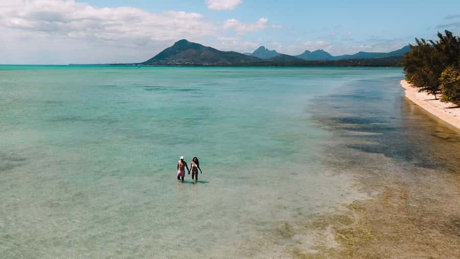 Île aux Bénitiers: Snorkeling w/Dolphins Boat Tour & Lunch - Who this tour fits best (and who should think twice)