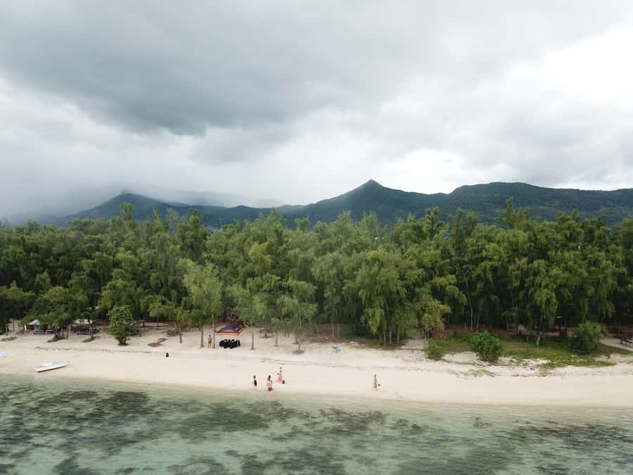 Île aux Bénitiers: Snorkeling w/Dolphins Boat Tour & Lunch - The crew and the vibe: what makes the difference on a day like this