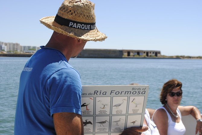 Ilha Deserta and Farol Island: a small group boat trip in Ria Formosa from Faro - Birdwatching and ecosystem talk: how to get more from it
