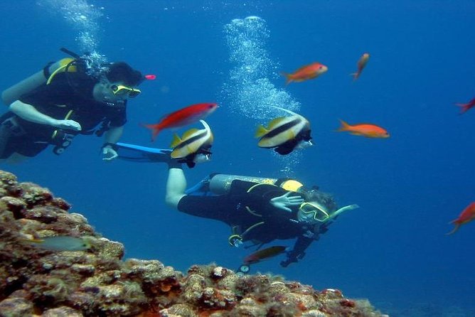 Intro Scuba Diving Beginners Full Day Boat Trip 2 Stops Diving & Lunch– Hurghada - Instructor Coaching and Safety Gear That Helps You Relax