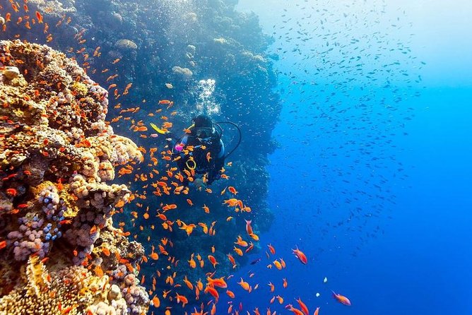 Intro Scuba Diving Beginners Full Day Boat Trip 2 Stops Diving & Lunch– Hurghada - Lunch Onboard: Real Comfort in a Long Day
