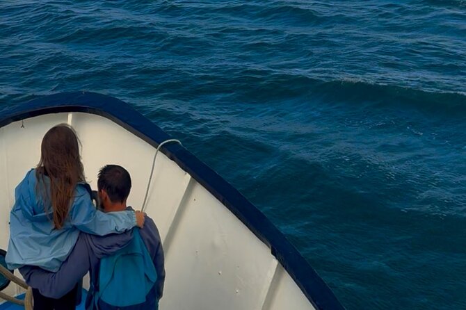 Ireland's Eye and Howth Coastal Boat Tour - Key things to know before you go