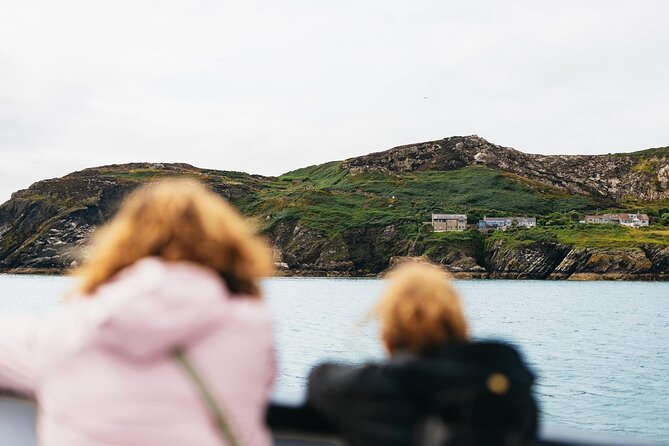 Ireland's Eye and Howth Coastal Boat Tour - Getting aboard at Howth: the quick start that sets the tone