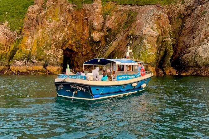 Ireland's Eye and Howth Coastal Boat Tour - Back to Howth Harbour: getting the big-picture view