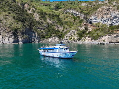 Ischia: Boat tour with swimming stops and lunch on board - How 7 hours plays on the water: swim breaks, scenic cruising, and built-in downtime