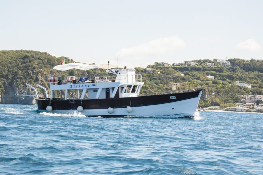 Ischia: Island Boat Tour with Neapolitan Lunch & Snorkeling - Stop-by-Stop Walkthrough of the 7 Hours (and What Each One Gives You)