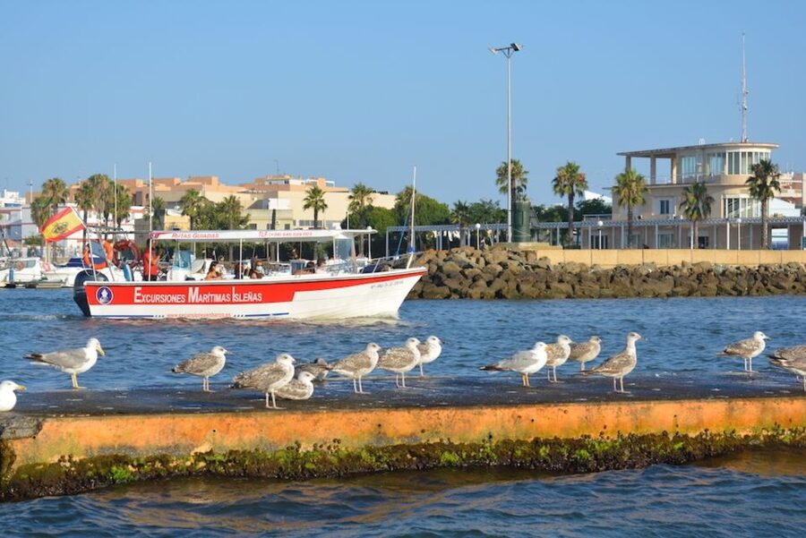 Isla Cristina/Isla Canela: Boat Trip Through the Marshes - Sunset time: why the later departure matters