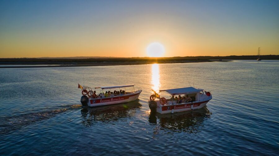 Isla Cristina/Isla Canela: Boat Trip Through the Marshes - Passing Punta del Moral and Isla de Canela from the water
