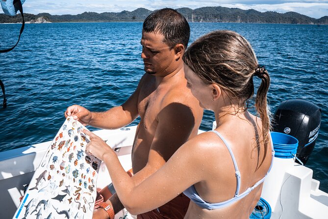 Isla Tortuga boat tour - from Paquera - The Tortuga island stop: white sand plus snorkeling close to shore
