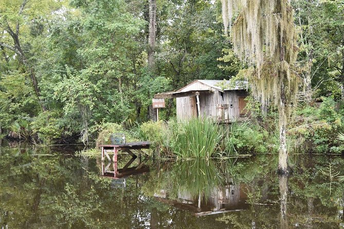 Jean Lafitte 90-Minute Swamp and Bayou Boat Tour - Jean Lafitte National Historical Park and Preserve: what you actually do on the water