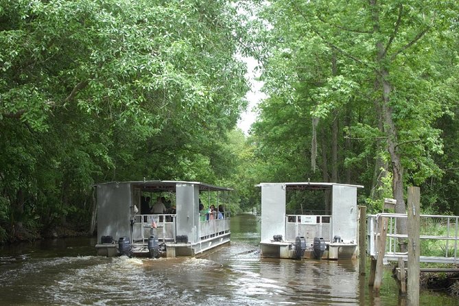 Jean Lafitte 90-Minute Swamp and Bayou Boat Tour - Gator spotting: close enough for photos, not enough to predict