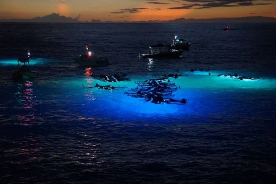 Kailua-Kona: Manta Ray Watching Nighttime Boat Trip - Key Points Worth Booking For
