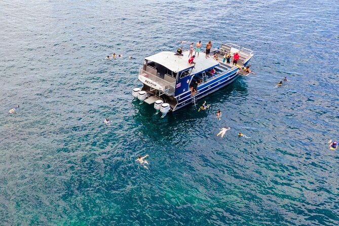 Kauai: NaPali Boat Tour on the Amelia K - Whale watching versus snorkeling: how the season changes the whole day