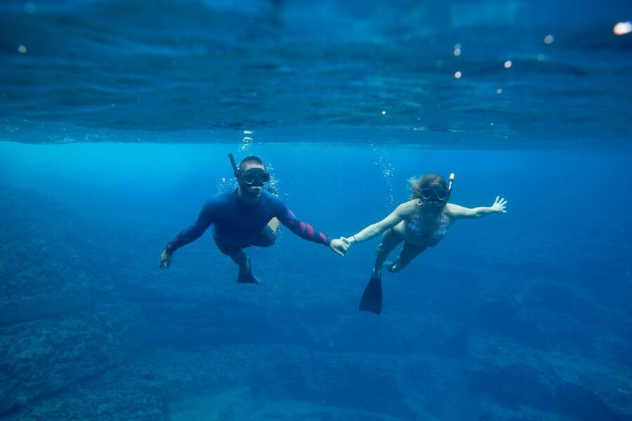 Kauai: Niihau and Na Pali Coast Full-Day Boat Tour - Who This Tour Fits (and Who Should Skip It)