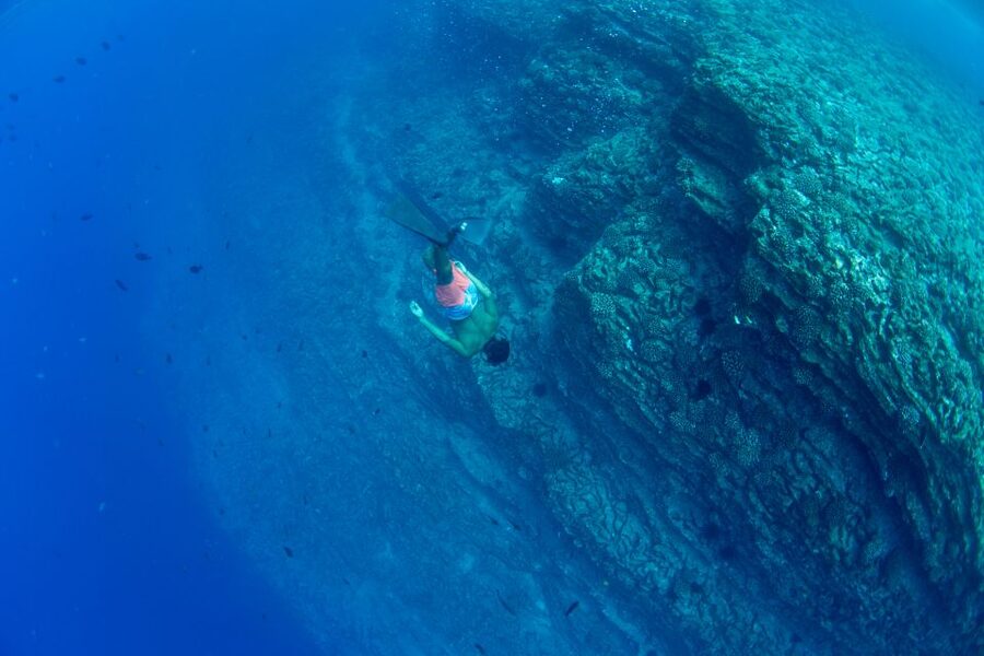 Kauai: Niihau and Na Pali Coast Full-Day Boat Tour - Weather, Waves, and the Real Meaning of Route Flexibility