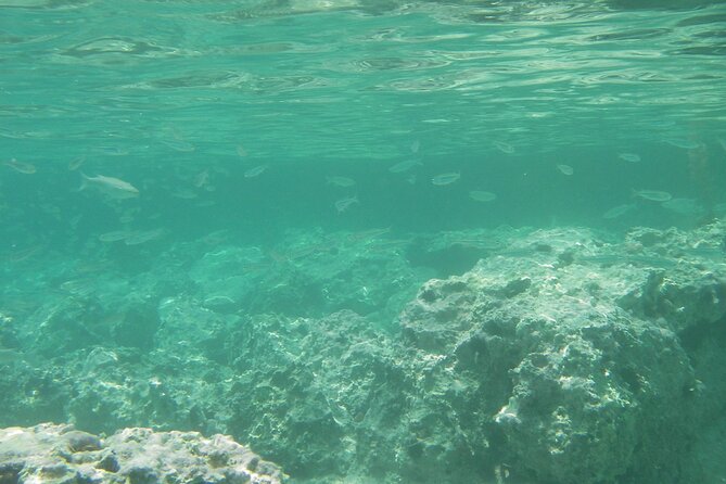 Kekova Private Full-Day Boat Trip - Aşırlı Island lunch: olive-oil mezes and BBQ on the water