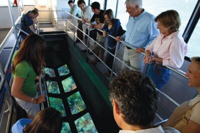 Key West Glass-Bottom Boat Tour with Sunset Option - What you can actually see through the glass