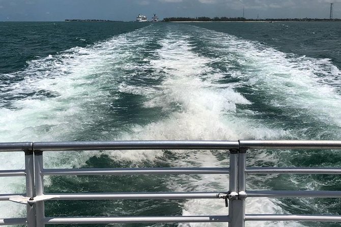 Key West Glass-Bottom Boat Tour with Sunset Option - Marine life odds, coral health, and setting your expectations