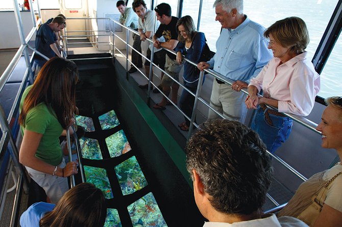 Key West Glass-Bottom Boat Tour with Sunset Option - What you can actually see through the glass