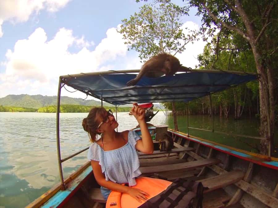 Ko Lanta: Mangrove Forest Boat Tour with Lunch or Dinner - Key points before you go