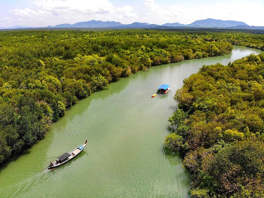 Ko Lanta: Mangrove Forest Boat Tour with Lunch or Dinner - Entering Ko Lanta’s Mangroves: What the Boat Trip Really Looks Like