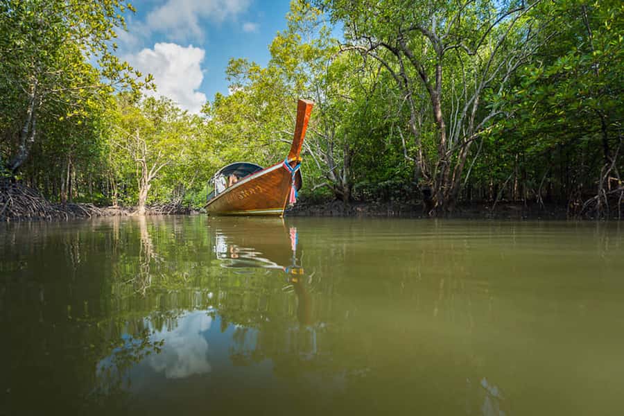 Ko Lanta: Mangrove Forest Boat Tour with Lunch or Dinner - Longtail Boat Through the Mangroves: Wildlife, Birds, and the Small Stuff
