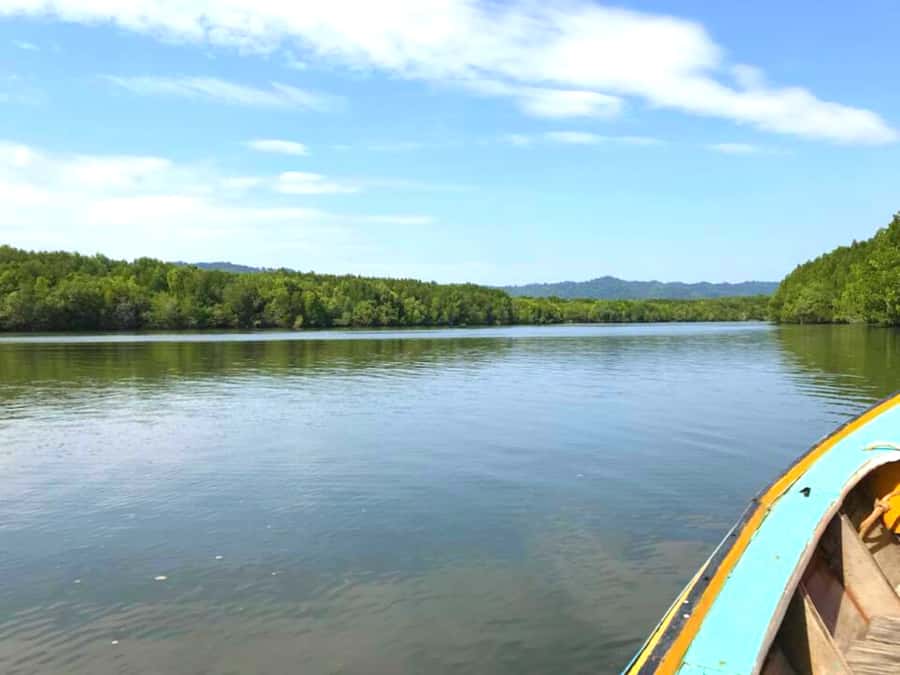 Ko Lanta: Mangrove Forest Boat Tour with Lunch or Dinner - Boat Comfort and Group Size: Where to Be a Little Choosy