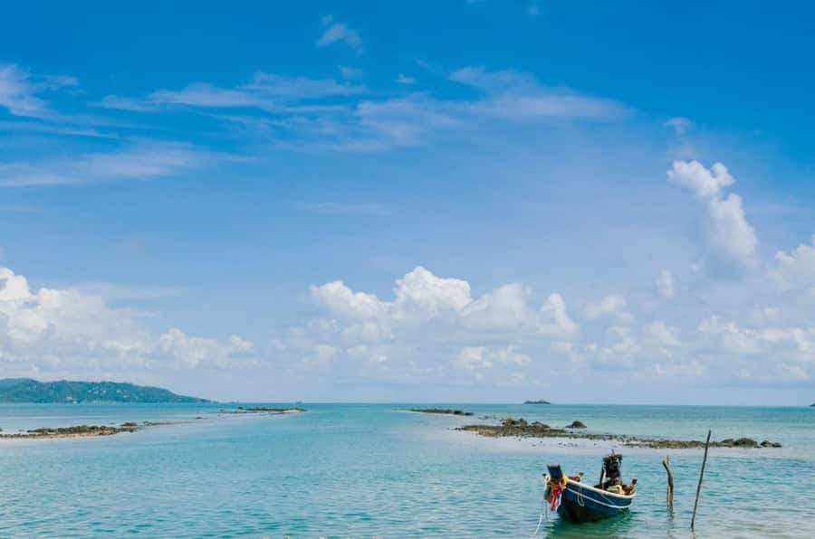 Ko Samui: Private Longtail Boat Tour to Koh Madsum & Koh Tan - Longtail Boat Meets Pig Island and Koh Tan