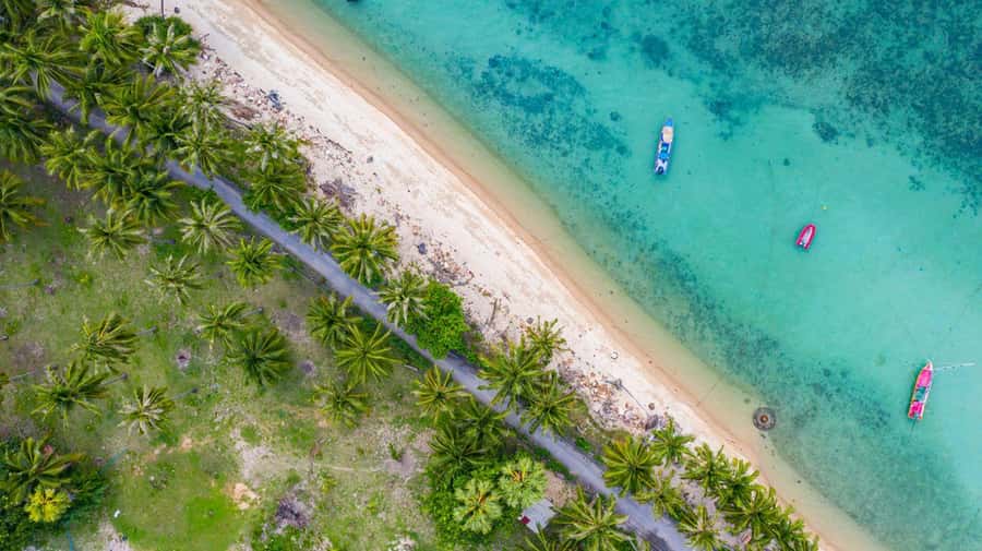 Ko Samui: Private Longtail Boat Tour to Koh Madsum & Koh Tan - Pig Island (Koh Madsum): Pigs, Beach Time, and a Water Tip