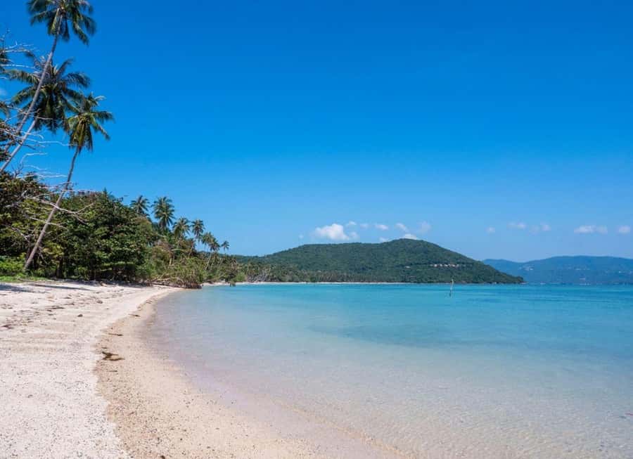 Ko Samui: Private Longtail Boat Tour to Koh Madsum & Koh Tan - Price and What You’re Actually Getting for $57