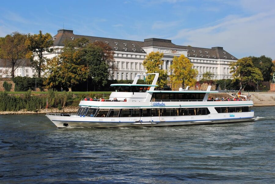 Koblenz: Rhine Valley Castles and Palaces Boat Tour - Lahn estuary and wine villages: the quieter details that add charm