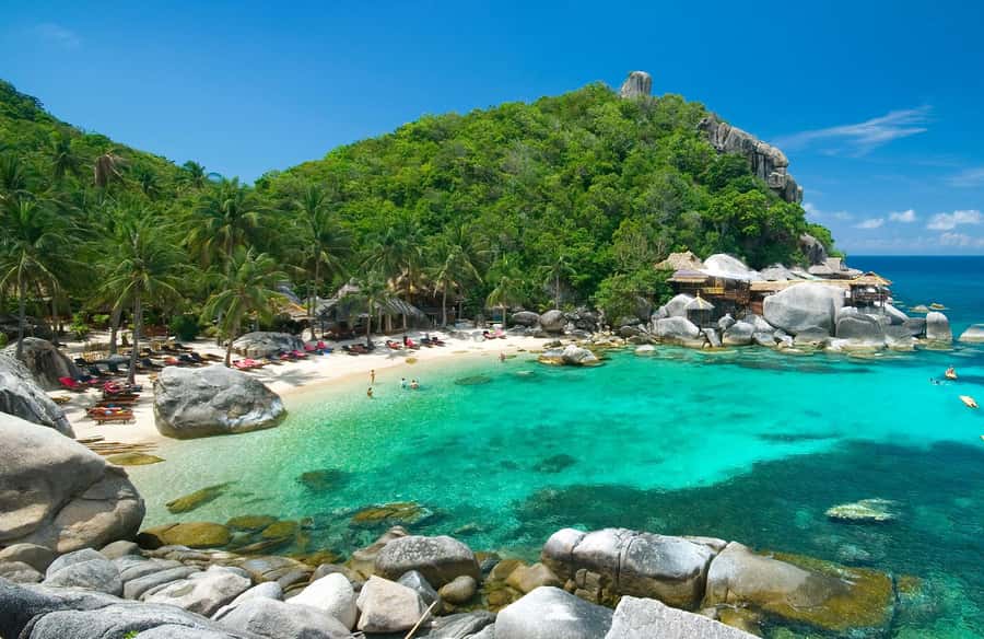 Koh Phangan: Koh Nangyuan & Koh Tao Boat Tour & Snorkeling - What you can spot: parrotfish, angelfish, and the reef rhythm