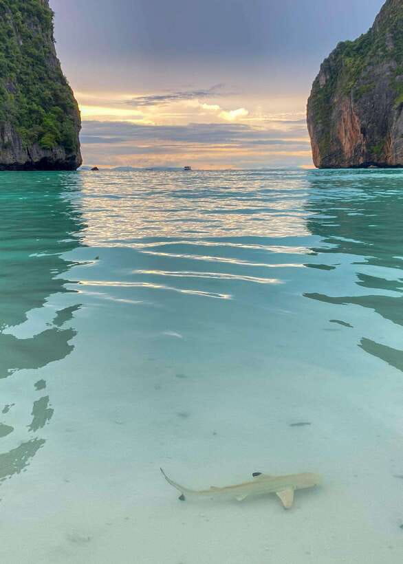Koh Phi Phi: Maya Bay Private Longtail Boat Tour - Private longtail freedom on Phi Phi’s coast