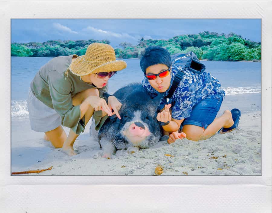 Koh Samui: Koh Madsum and Koh Tan Long Tail Boat Trip - Price and value: is $188 per group up to 3 a fair deal?