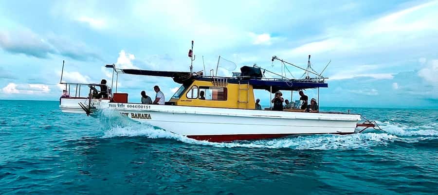 Koh Samui: Mr.Ung's Private Fishing/Boat Trip/Snorkeling/BBQ - Snorkeling in the Gulf: what to expect when the plan meets the weather