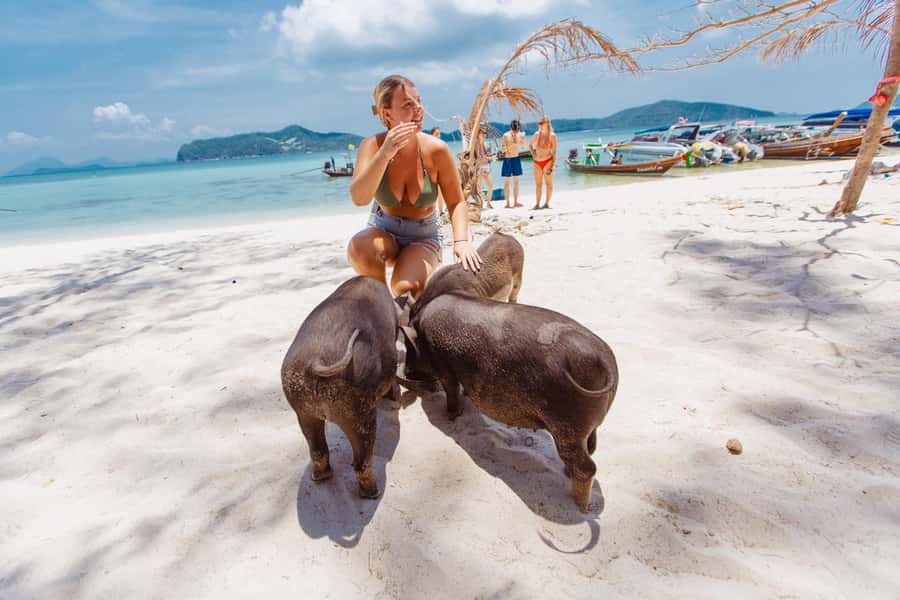Koh Samui: Pig Island Private Longtail Boat Tour - Why Pig Island Feels Like a Real Plan, Not a Zoo Stop