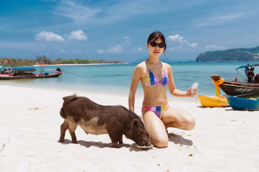 Koh Samui: Pig Island Private Longtail Boat Tour - The Starting Point: Thong Krut Pier and the First 30 Minutes