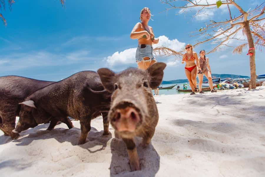 Koh Samui: Pig Island Private Longtail Boat Tour - Koh Madsum: Your Main Stretch for Swim, Snorkel, and Photos