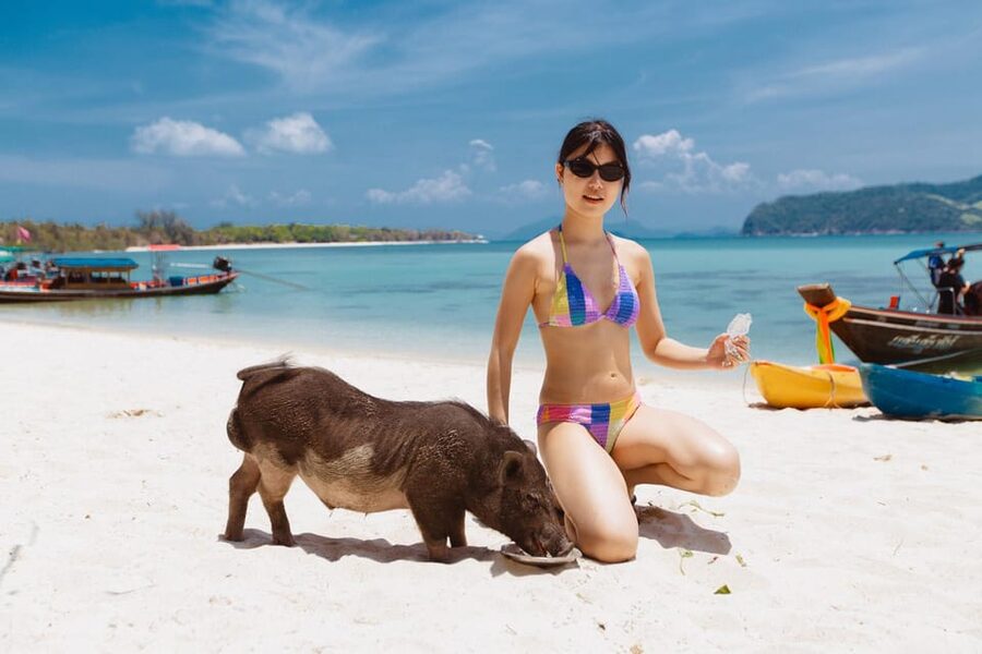 Koh Samui: Pig Island Private Longtail Boat Tour - Optional Add-On Feel: More Freedom Than the Typical Group Tour