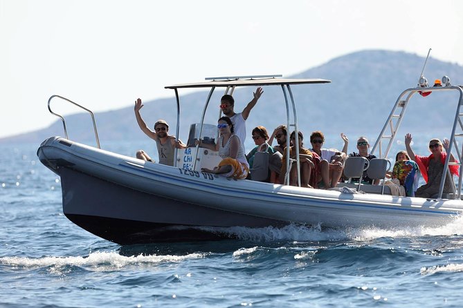 Kornati Experience small group (12 pax) boat tour - Skippers and guides: where the quality shows up fast