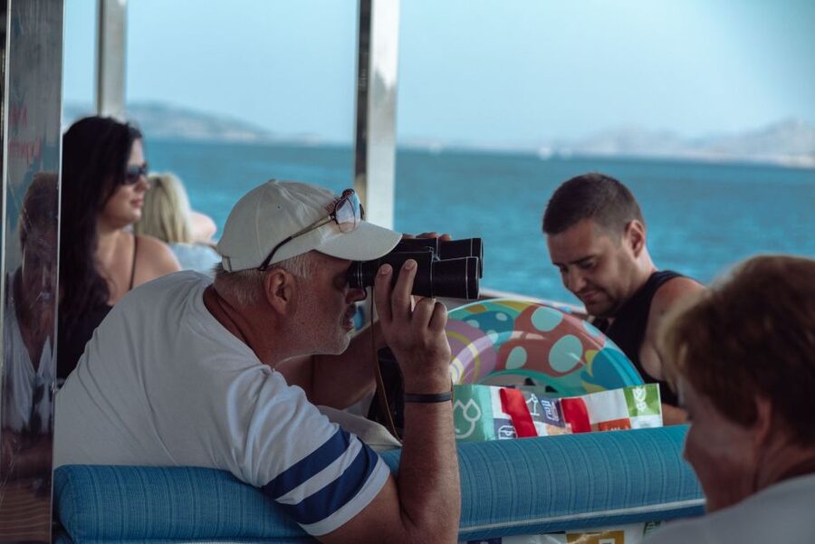 Kornati National Park and Telašćica Full-Day Boat Tour - Dolphins and the kind of moments you can’t script