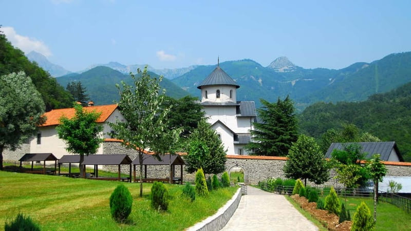 Kotor: Lake Skadar and Biograd Day Trip & Boat Ride - Biogradska Gora National Park and Lake Biograd: the forest-lake reset